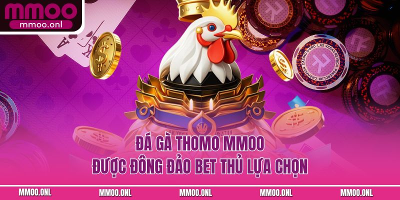 Đá gà Thomo MMOO được đông đảo bet thủ lựa chọn