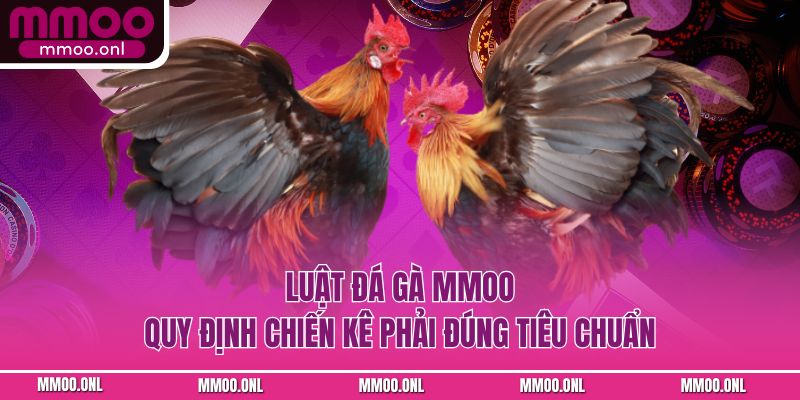 Luật đá gà MMOO quy định chiến kê phải đúng tiêu chuẩn